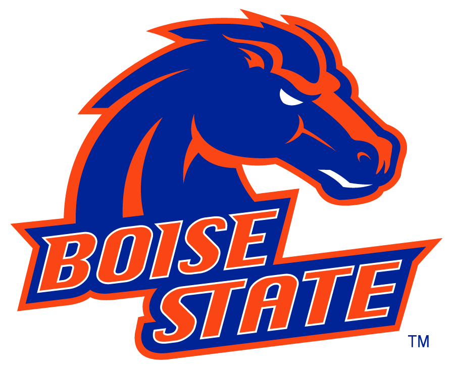 Boise State Broncos 2002-2012 Alternate Logo diy DTF decal sticker